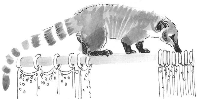 Иллюстрация к книге — Лось на диване, верветка на печи [i_039.jpg]