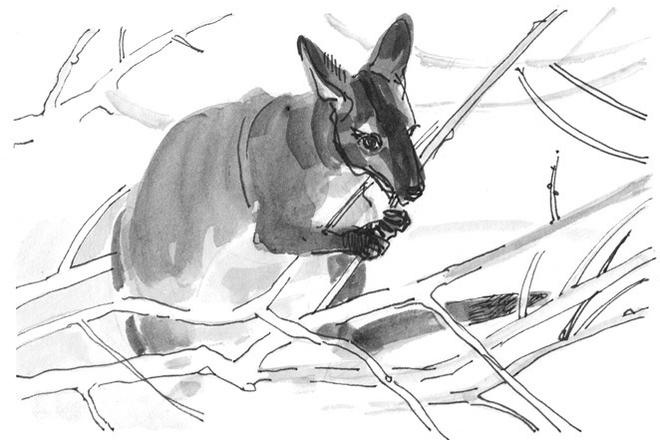 Иллюстрация к книге — Лось на диване, верветка на печи [i_048.jpg]