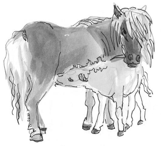 Иллюстрация к книге — Лось на диване, верветка на печи [i_052.jpg]