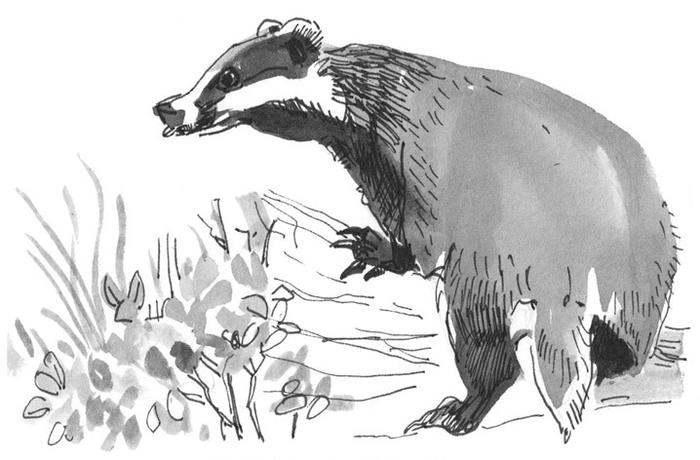 Иллюстрация к книге — Лось на диване, верветка на печи [i_054.jpg]