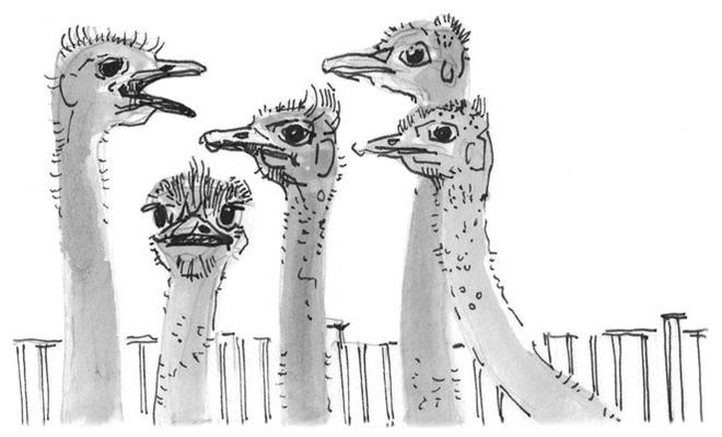 Иллюстрация к книге — Лось на диване, верветка на печи [i_056.jpg]