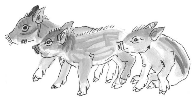 Иллюстрация к книге — Лось на диване, верветка на печи [i_064.jpg]