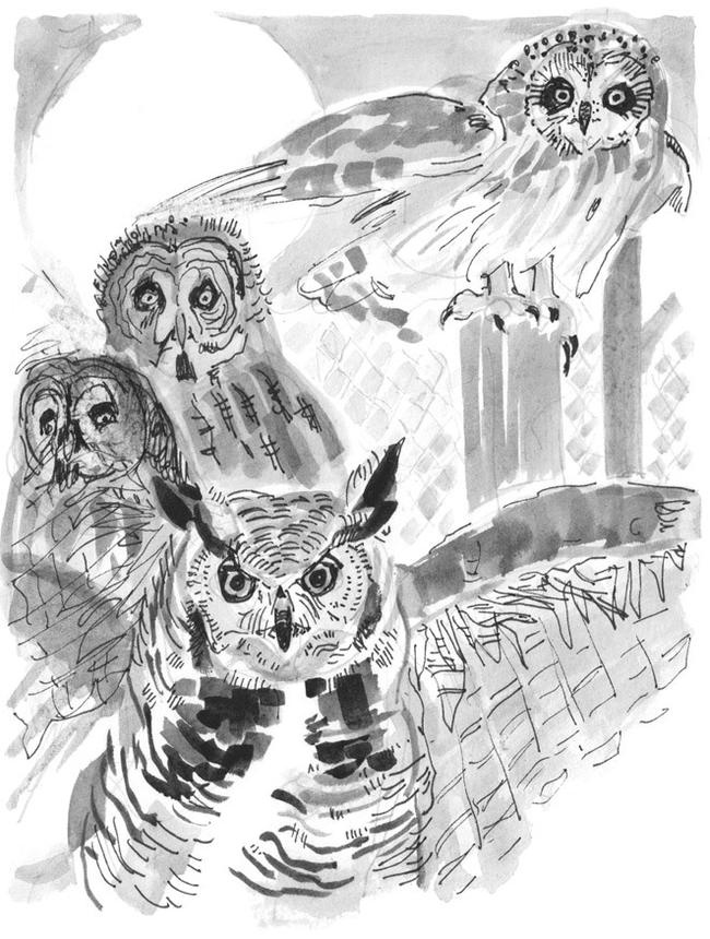 Иллюстрация к книге — Лось на диване, верветка на печи [i_068.jpg]