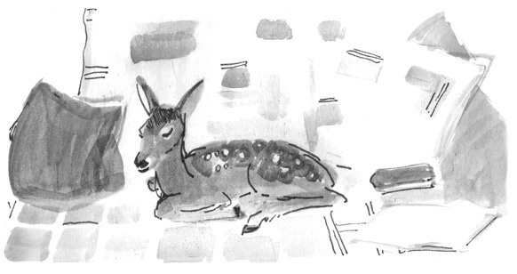Иллюстрация к книге — Лось на диване, верветка на печи [i_069.jpg]