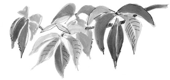 Иллюстрация к книге — Лось на диване, верветка на печи [i_070.jpg]