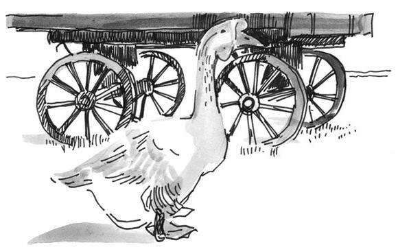 Иллюстрация к книге — Лось на диване, верветка на печи [i_072.jpg]