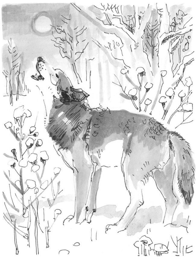 Иллюстрация к книге — Лось на диване, верветка на печи [i_075.jpg]