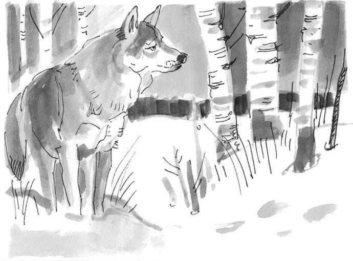 Иллюстрация к книге — Лось на диване, верветка на печи [i_076.jpg]