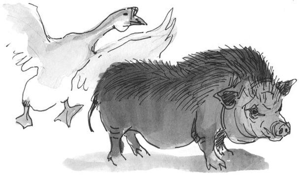 Иллюстрация к книге — Лось на диване, верветка на печи [i_079.jpg]