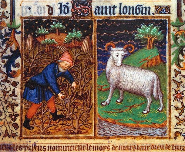 Иллюстрация к книге — Основание. От самых начал до эпохи Тюдоров [i_024.jpg]