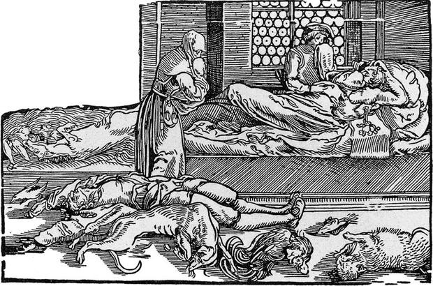 Иллюстрация к книге — Основание. От самых начал до эпохи Тюдоров [i_031.jpg]