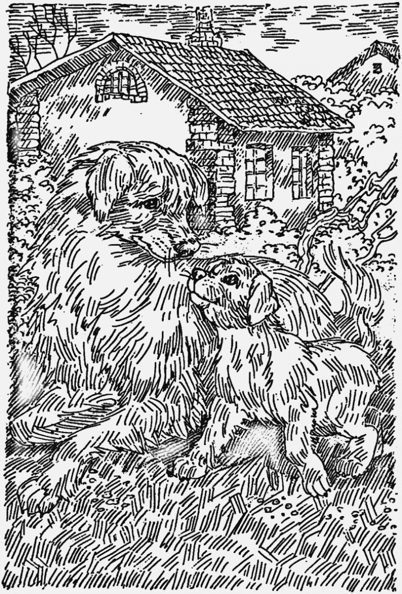 Иллюстрация к книге — Прерванный путь [i_001.jpg]