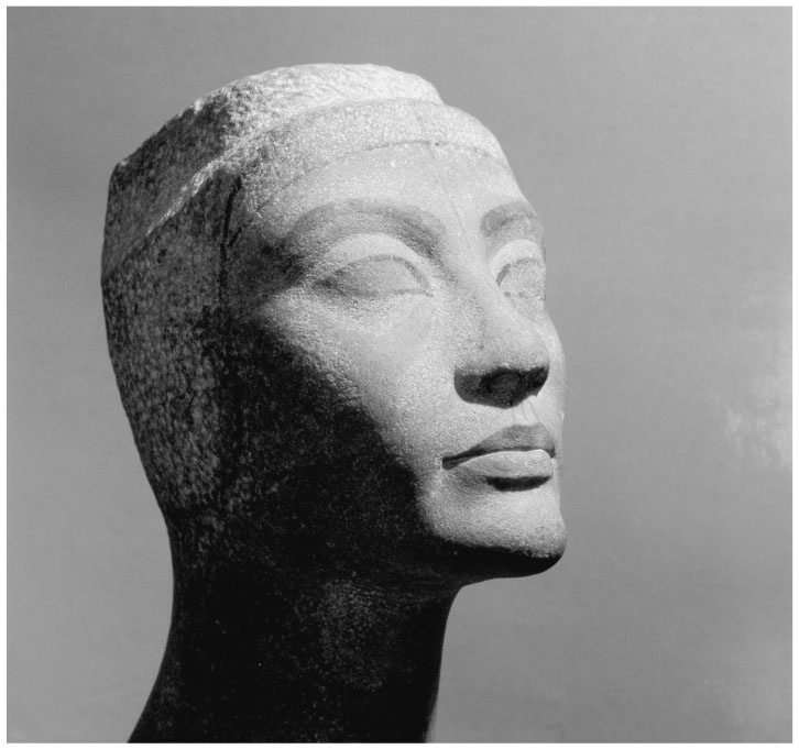 Иллюстрация к книге — В поисках гробниц Древнего Египта [i_029.jpg]