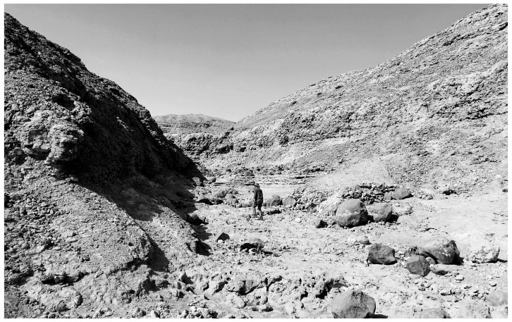 Иллюстрация к книге — В поисках гробниц Древнего Египта [i_030.jpg]