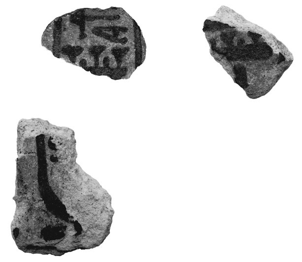 Иллюстрация к книге — В поисках гробниц Древнего Египта [i_055.jpg]