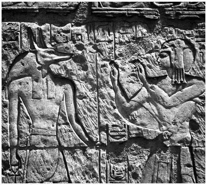 Иллюстрация к книге — В поисках гробниц Древнего Египта [i_056.jpg]