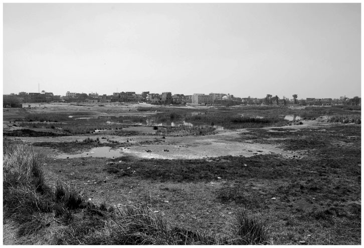 Иллюстрация к книге — В поисках гробниц Древнего Египта [i_060.jpg]