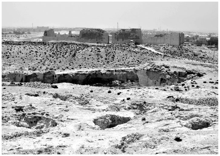 Иллюстрация к книге — В поисках гробниц Древнего Египта [i_074.jpg]