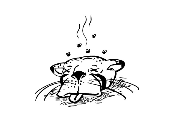 Иллюстрация к книге — Не надо пофигизма [i_075.jpg]