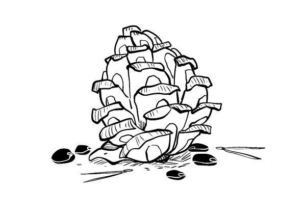 Иллюстрация к книге — Не надо пофигизма [i_093.jpg]