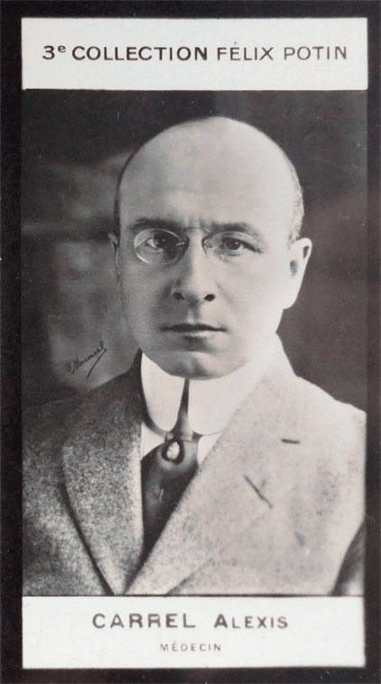 Иллюстрация к книге — Портрет мужчины в красном [i_089.jpg]