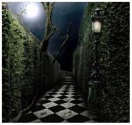 Иллюстрация к книге — Холмы Фэйри: Дэстини [img5e4a.jpg]