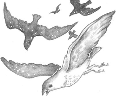 Иллюстрация к книге — Соль и дым [i_003.jpg]