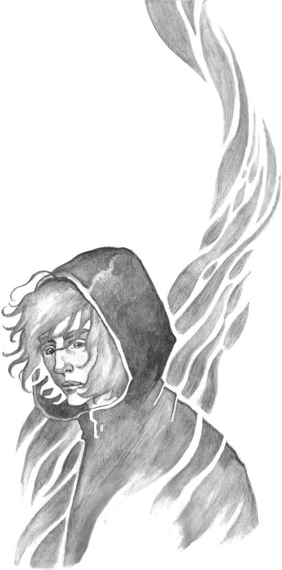 Иллюстрация к книге — Соль и дым [i_012.jpg]