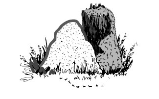 Иллюстрация к книге — Найден, жив! Записки о поисковом отряде «Лиза Алерт» [i_007.jpg]