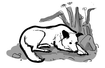 Иллюстрация к книге — Найден, жив! Записки о поисковом отряде «Лиза Алерт» [i_008.jpg]