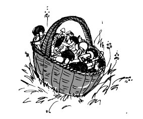 Иллюстрация к книге — Найден, жив! Записки о поисковом отряде «Лиза Алерт» [i_022.jpg]