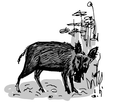 Иллюстрация к книге — Найден, жив! Записки о поисковом отряде «Лиза Алерт» [i_023.jpg]