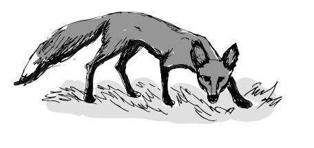 Иллюстрация к книге — Найден, жив! Записки о поисковом отряде «Лиза Алерт» [i_031.jpg]