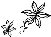 Иллюстрация к книге — Медная чайка [i_002.jpg]