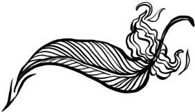 Иллюстрация к книге — Медная чайка [i_004.jpg]