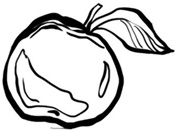 Иллюстрация к книге — Медная чайка [i_006.jpg]