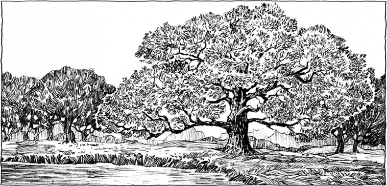 Иллюстрация к книге — Мир и война [i_053.jpg]