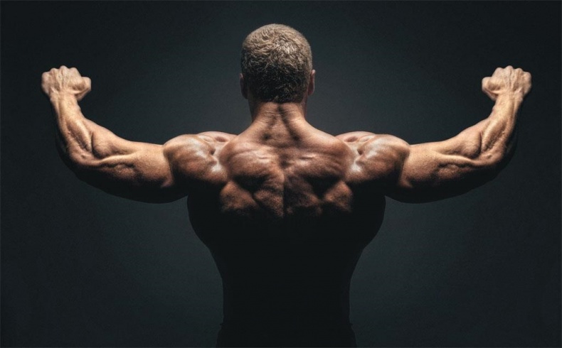 Иллюстрация к книге — МегаМасса. Комплекс тренировок, питания и дисциплины для достижения идеальной фигуры [i_002.jpg]