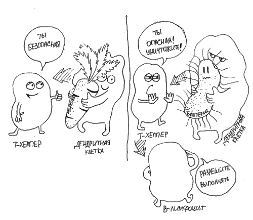 Иллюстрация к книге — Аллергия и как с ней жить. Руководство для всей семьи [i_002.jpg]