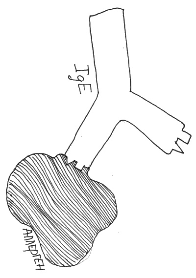 Иллюстрация к книге — Аллергия и как с ней жить. Руководство для всей семьи [i_004.jpg]