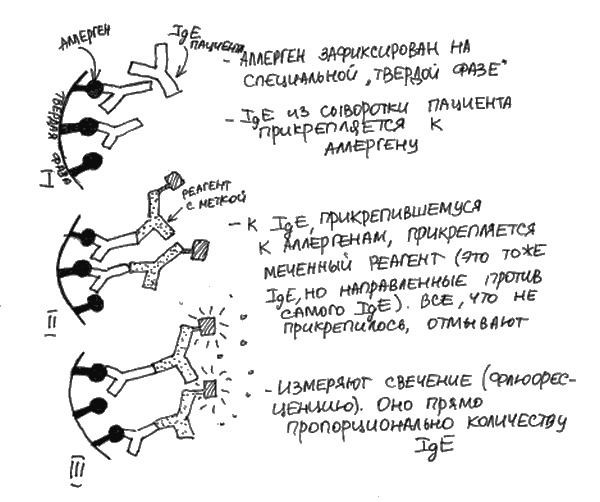 Иллюстрация к книге — Аллергия и как с ней жить. Руководство для всей семьи [i_005.jpg]