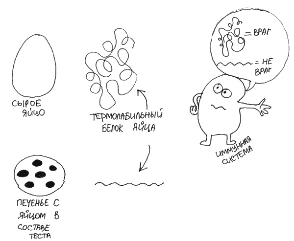 Иллюстрация к книге — Аллергия и как с ней жить. Руководство для всей семьи [i_013.jpg]