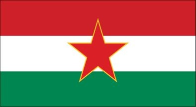 Иллюстрация к книге — История флагов. От рыцарских знамен до государственных штандартов [i_134.jpg]