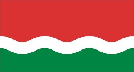 Иллюстрация к книге — История флагов. От рыцарских знамен до государственных штандартов [i_198.jpg]