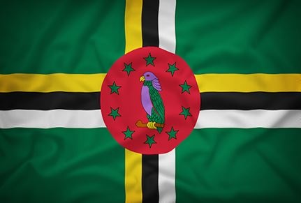 Иллюстрация к книге — История флагов. От рыцарских знамен до государственных штандартов [i_200.jpg]