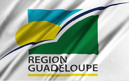 Иллюстрация к книге — История флагов. От рыцарских знамен до государственных штандартов [i_207.jpg]