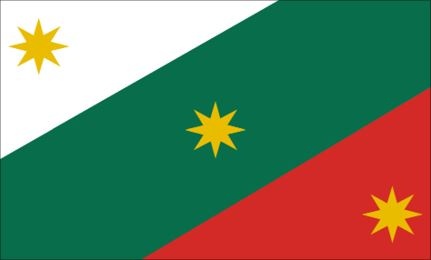 Иллюстрация к книге — История флагов. От рыцарских знамен до государственных штандартов [i_212.jpg]