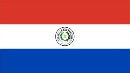 Иллюстрация к книге — История флагов. От рыцарских знамен до государственных штандартов [i_214.jpg]