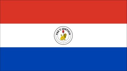 Иллюстрация к книге — История флагов. От рыцарских знамен до государственных штандартов [i_215.jpg]