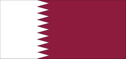 Иллюстрация к книге — История флагов. От рыцарских знамен до государственных штандартов [i_222.jpg]